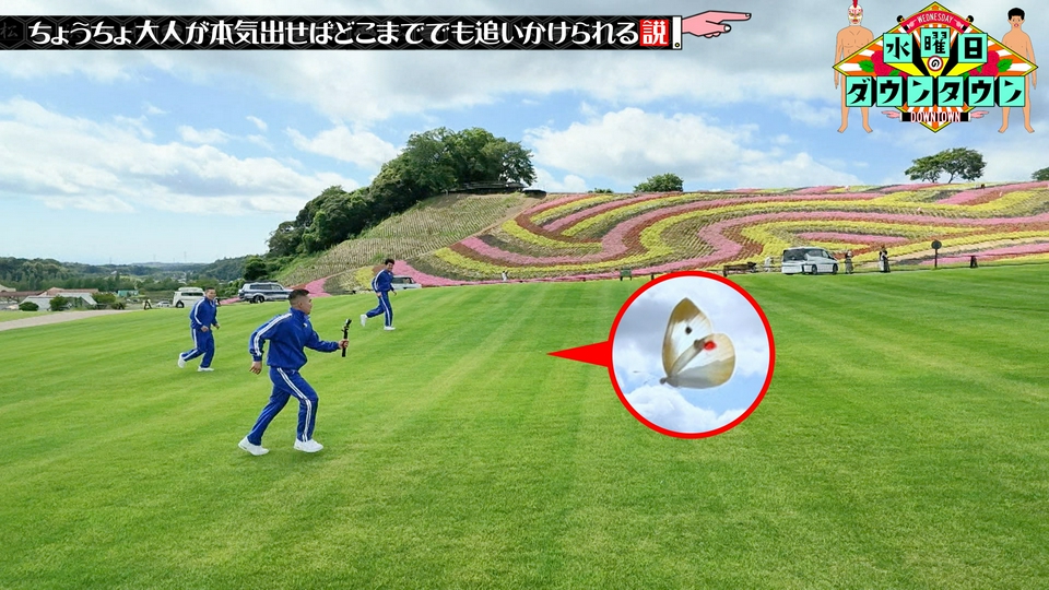 ちょうちょ、大人が本気出せばどこまででも追いかけられる説 thumbnail