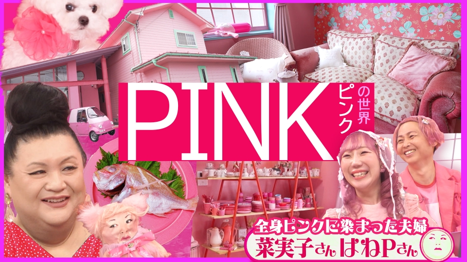 マツコの知らない世界 6月3日(火)放送分 後編！「ピンクの世界