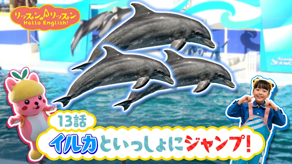じゃれねこ『7月イベ☆30 イルカ』 リッスン♪リッスン Hello English！ ♪13 イルカといっしょに
