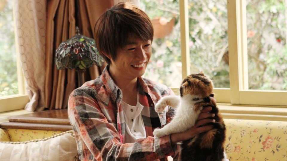 三毛猫ホームズの推理 DVD-BOX〈6枚組〉 Amazon.co.jp: 三毛