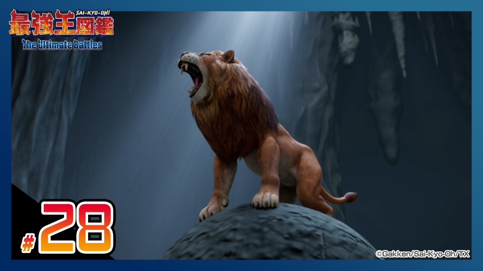 気高くて強靭、知能も高い百獣の王 ライオンさんの銀貨 気高くて