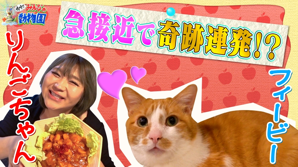 嗚呼!!みんなの動物園 5月25日(土)放送分 りんごちゃん家のイケメン
