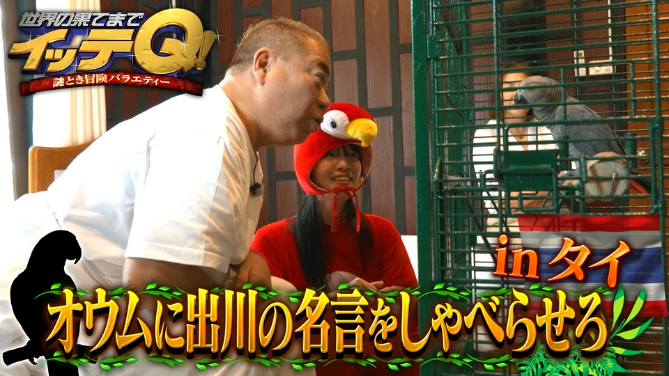 13年ぶり名作復活!オウムに出川名言を喋らせよう&みやぞん水上浮遊 thumbnail