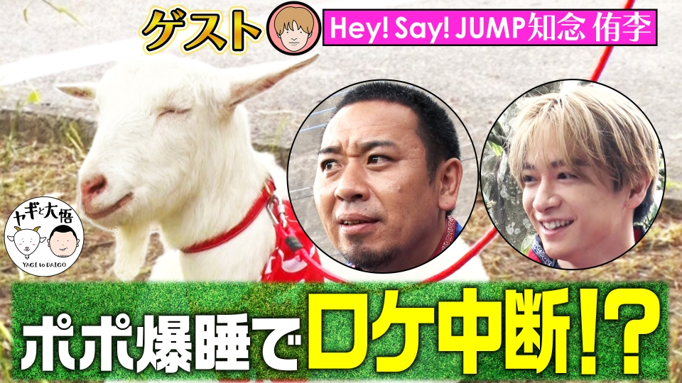 ヤギと大悟 6月2日(金)放送分 主役爆睡でロケ中断！？JUMP知念感激