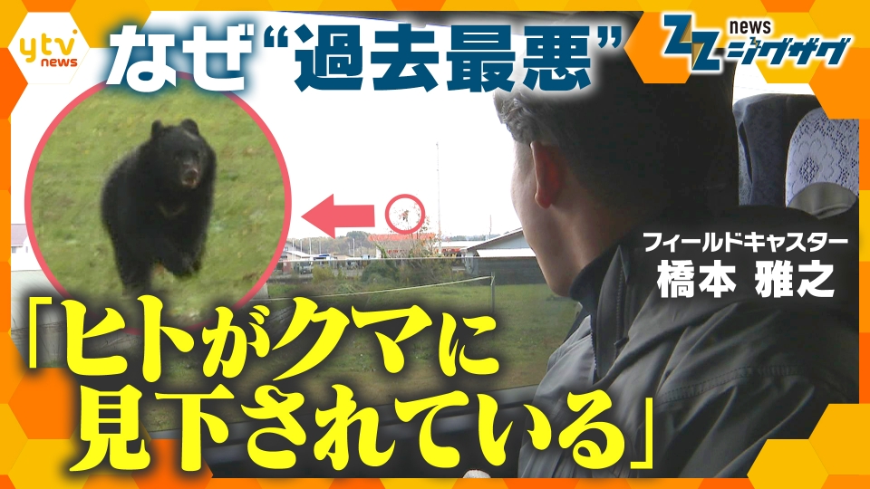 サタデーLIVE ニュース ジグザグ 11月15日(土)放送分 取材班がクマに