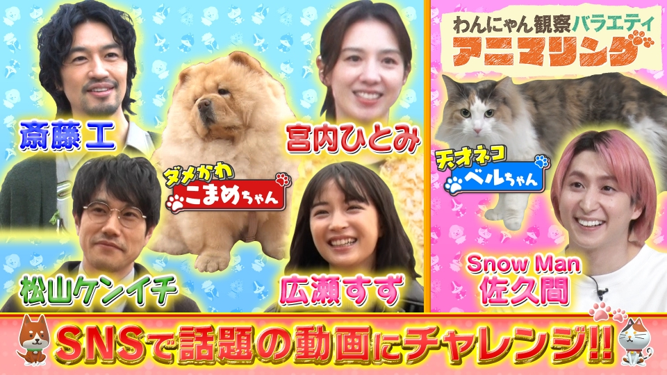 わんにゃん観察バラエティ アニマリング 3月27日(木)放送分 ダメかわ犬