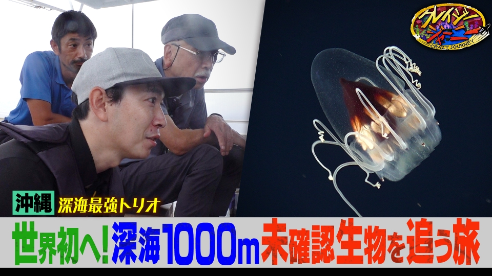 クレイジージャーニー 12月22日(月)放送分 まるでCGの世界☆不思議で