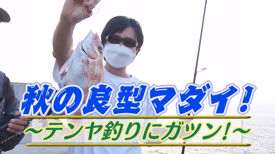 決定版 チョーさんの釣り情報 11月27日 日 放送分 秋の良型マダイ テンヤ釣りにガツン バラエティ 見逃し無料配信はtver 人気の動画見放題