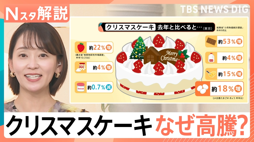 TBS NEWS DIG Powered by JNN 10月29日(水)放送分 クリスマスケーキ
