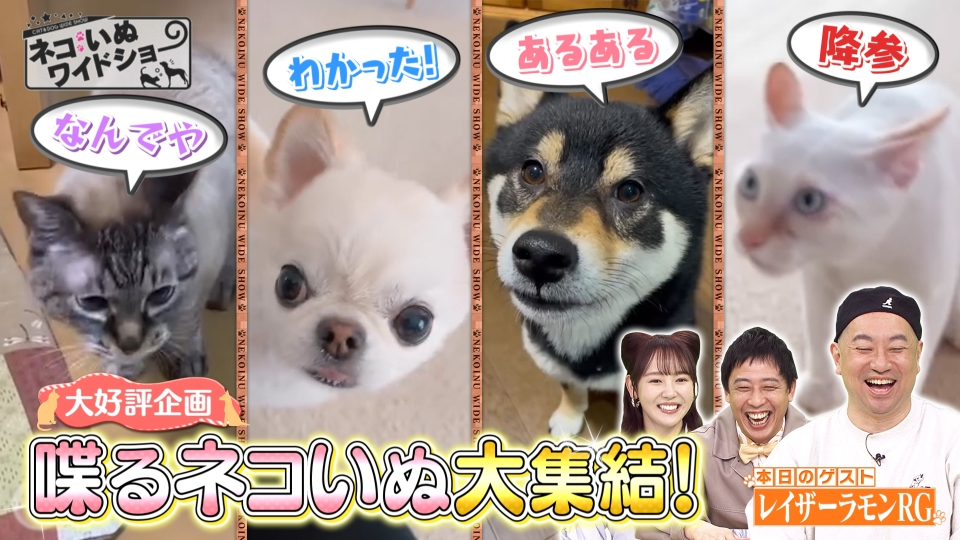 ネコいぬワイドショー 5月30日(金)放送分 ＃129 ゲスト