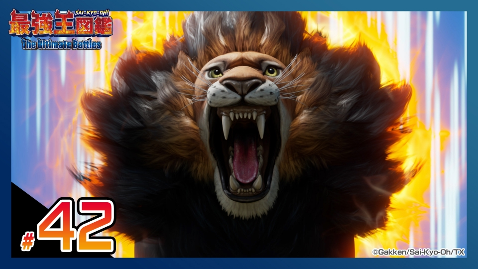 最強王図鑑～The Ultimate Battles～ 10月19日(土)放送分 熱闘
