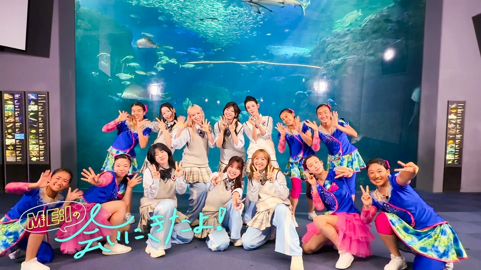 ME:Iの会いにきたよ！ 7月26日(日)放送分 新江ノ島水族館で夢のコラボ