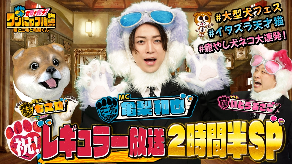 世界を救う！ワンにゃフル物語～柴と三毛と亀梨くん～ 4月16日(水)放送