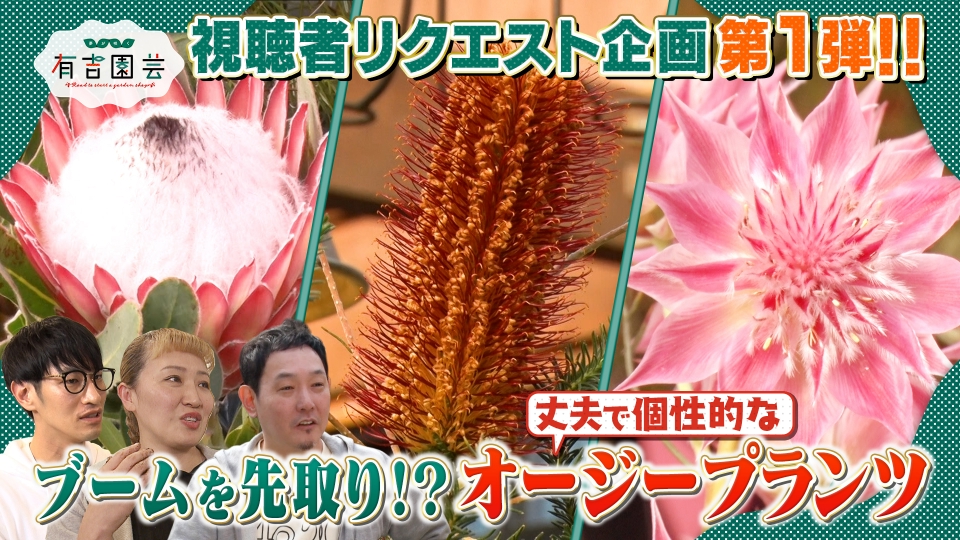 夢が咲く 有吉園芸～Road to start a garden shop～ 3月10日(火)放送分