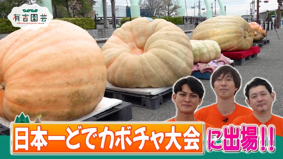 夢が咲く 有吉園芸～Road to start a garden shop～ 9月30日(火)放送分