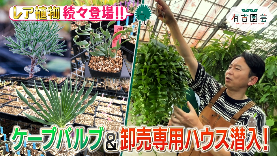 夢が咲く 有吉園芸～Road to start a garden shop～ 7月22日(火