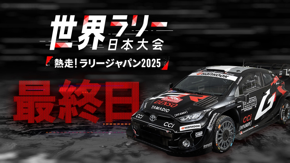 VHS ´00 世界ラリー選手権全11刊 VHS ´00 世界ラリー選手権全11刊 WRC グループBラリーカーのすべて