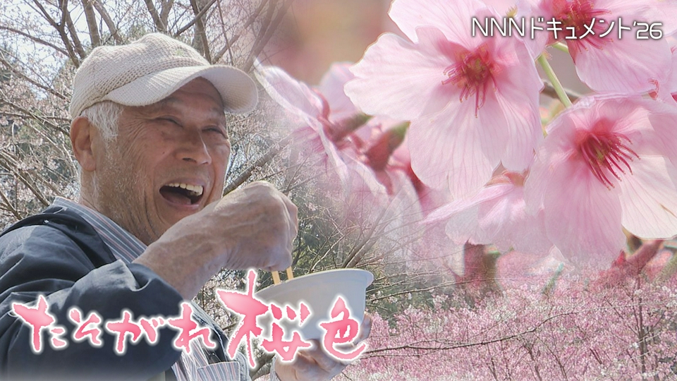NNNドキュメント 5月17日(日)放送分 たそがれ桜色｜報道