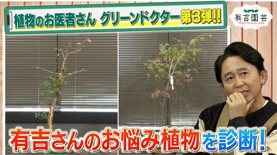 夢が咲く 有吉園芸～Road to start a garden shop～ 11月11日(火)放送