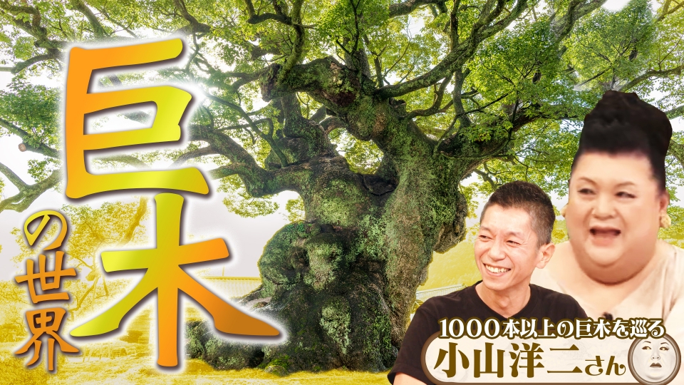 クィア・ジャパン Vol.3 魅惑のブス　マツコデラックス マツコの知らない世界』2/20(火) JUJUとマツコ10年ぶり共演