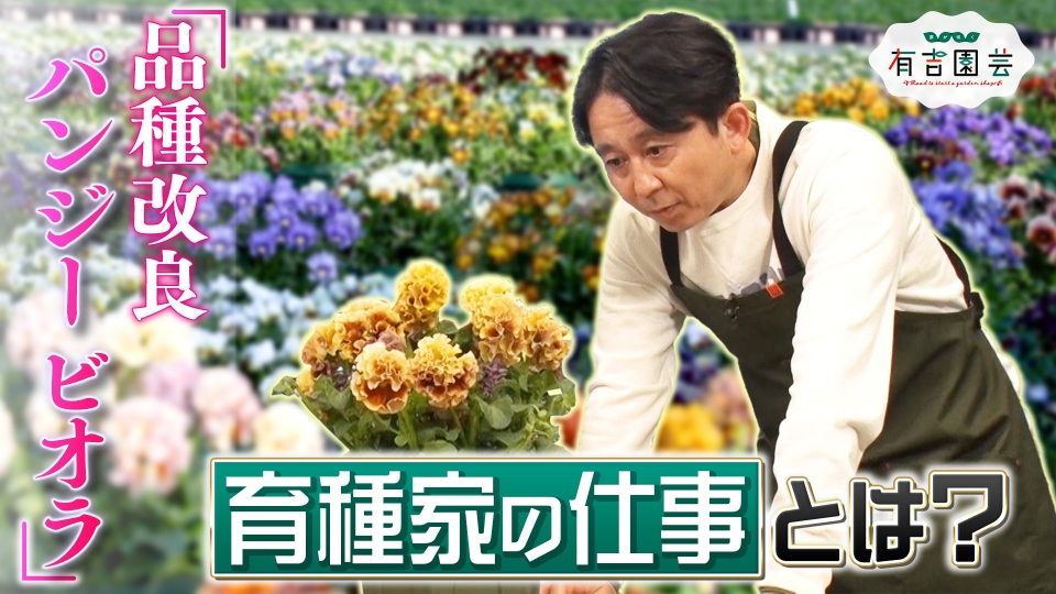 園芸 epz3m5u5l6.jpg?v=10