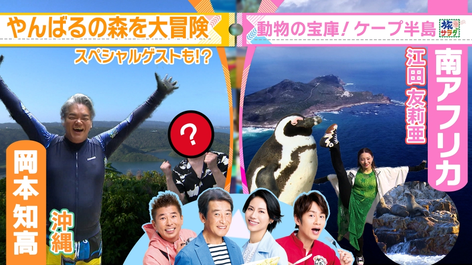 朝だ！生です旅サラダ 9月23日(土)放送分 南アフリカのケープタウンで