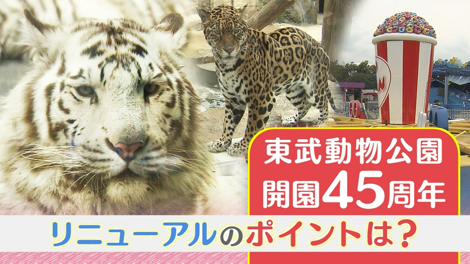 テレ玉NEWS CHOICE 4月13日(月)放送分 東武動物公園 開園45周年