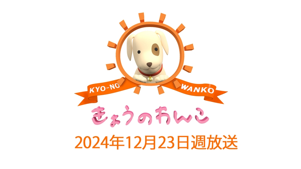 きょうこ／３月お取り置き きょうのわんこ 2024/12/23週放送 2024/12/23週放送 きょうのわんこ