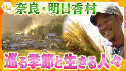 厳選！ytvニュース特集 【ドキュメント】日本の奇跡　1400年続く原風景“まほろば明日香”イネはいのちの根
