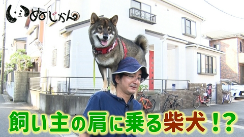 いぬじかん 高橋成美が２匹の愛犬と登場！飼い主の肩に乗って散歩する謎の柴犬！