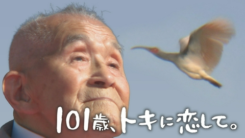 101歳、トキに恋して。 トキの保護活動に人生を捧げた村本義雄さん