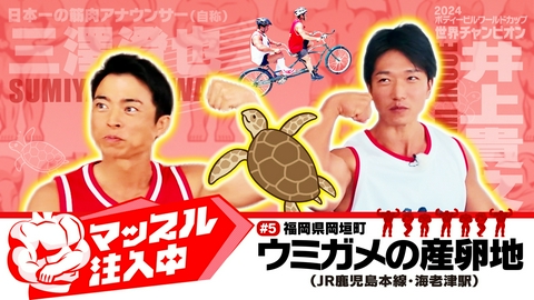 地域×筋肉　マッスル注入中 ＃５　福岡県岡垣町・ウミガメの産卵地