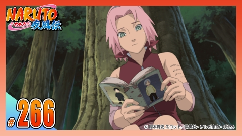 アンナ専用　ワンピース　NARUTO　コミックスニュース アンナ専用 ワンピース NARUTO コミックスニュース コミックス
