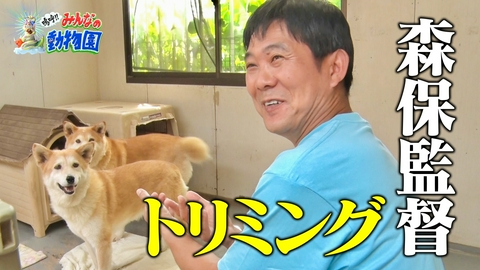 嗚呼!!みんなの動物園 相葉トリミングに森保監督&青木マッチョ新預かり