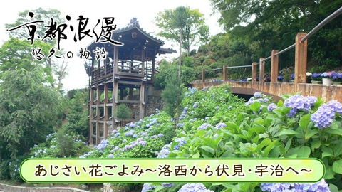 京都浪漫　悠久の物語 第195回「あじさい花ごよみ～洛西から伏見・宇治へ～」