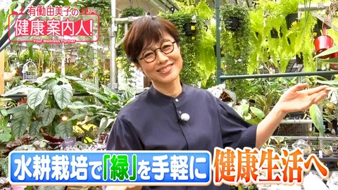有働由美子の健康案内人！ 水耕栽培で「緑」を手軽に…健康生活へ