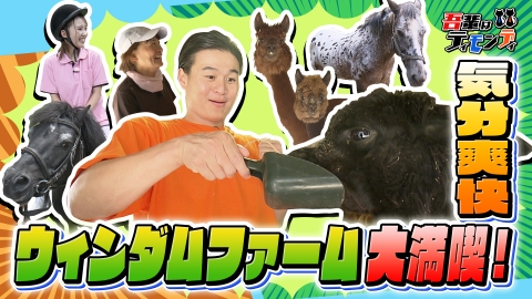 吾輩はティモンディ #92　気分ほっこり！優しい動物たちと触れ合おう！