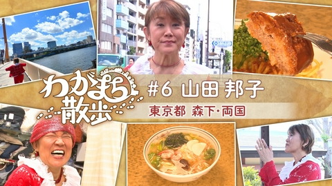 わがまち散歩 第6回 山田邦子が幼少時代を過ごした森下・両国周辺をぶらり