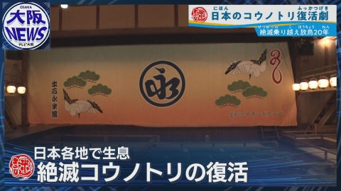 TVOやさしいニュース特集 映画『国宝』ロケ地で「コウノトリ」復活【兵庫県豊岡市の象徴】「出石永楽館」緞帳もコウノトリ