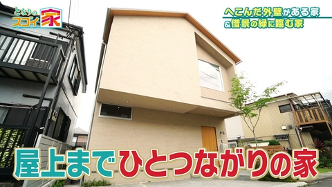 となりのスゴイ家 5m吹き抜け＆緑に臨む28帖LDKの開放感▼凹んだ（秘）外壁