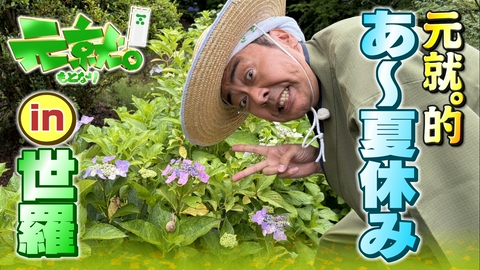 元就｡ 「世羅」あ～夏休み！ひんやりお寺カフェ＆ひまわり畑！コウノトリを発見