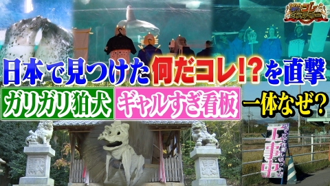 世界の何だコレ！？ミステリー ガリガリの狛犬？ギャルすぎ看板？何だコレ