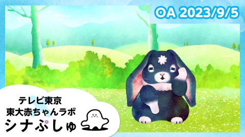 シナぷしゅ