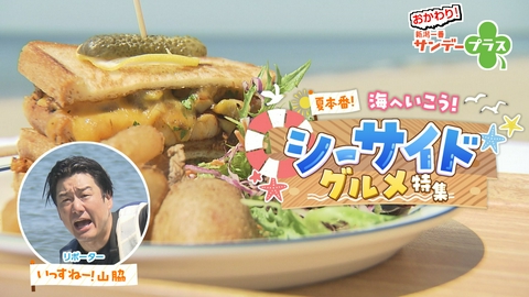 おかわり！新潟一番サンデープラス シーサイドグルメ/やひこ浴衣でまちあるき/しゅんゆまカップル番組初登場