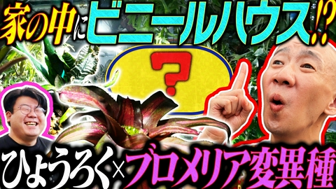 変態植物倶楽部 自宅突撃！佐賀の変態ハウス　第一園芸センター＆原さん