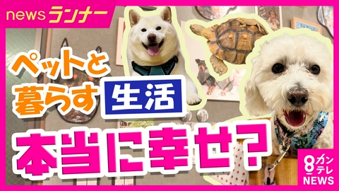 newsランナー 「ペットとの暮らし」本当に幸せ？犬3頭との生活を定点カメラで観察　リアルなお金事情と命との向き合い