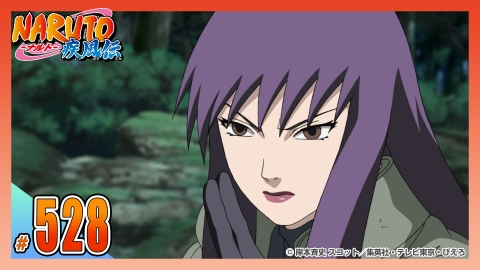 NARUTO-ナルト- 疾風伝 2013年放送 第五百三十一話 PROLOGUE OF ROAD