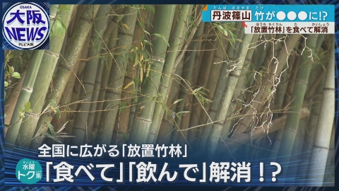 TVOやさしいニュース特集 【放置竹林が宝の山に!?】メンマに発泡酒…原材料費０円でおいしく問題解決！