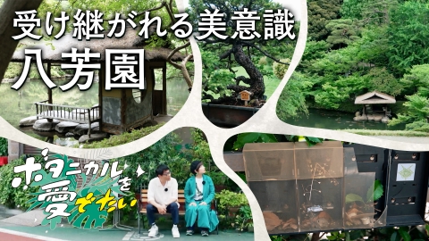 ボタニカルを愛でたい 白金・八芳園