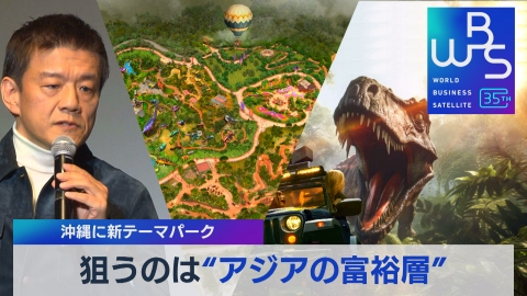 WBS（ワールドビジネスサテライト） 11月27日(月)放送分 ハワイに